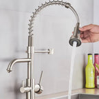 Torneira Para Cozinha Gourmet Monocomando Com Filtro Neptunus