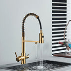 Torneira de Cozinha Gourmet Monocomando Com Filtro