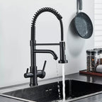 Torneira Para Cozinha Gourmet Monocomando Com Filtro Neptunus