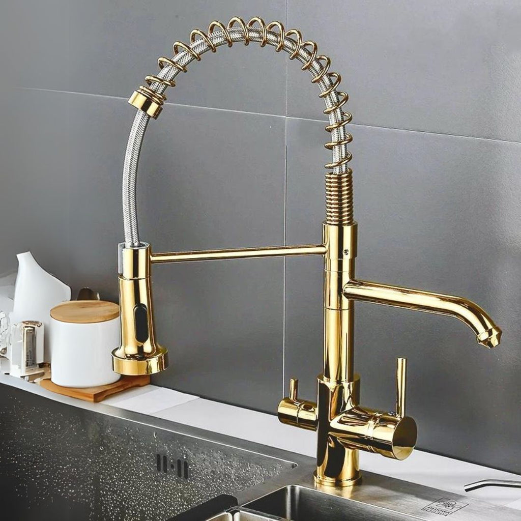 Torneira Para Cozinha Gourmet Monocomando Com Filtro Neptunus