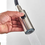 Torneira de Cozinha Gourmet Monocomando Com Filtro