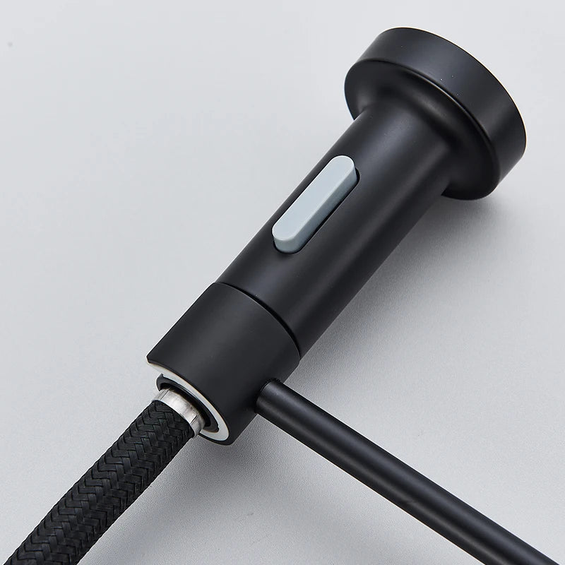 Torneira Para Cozinha Gourmet Monocomando Com Filtro Neptunus