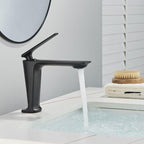 Torneira Para Banheiro Monocomando - Monapoli